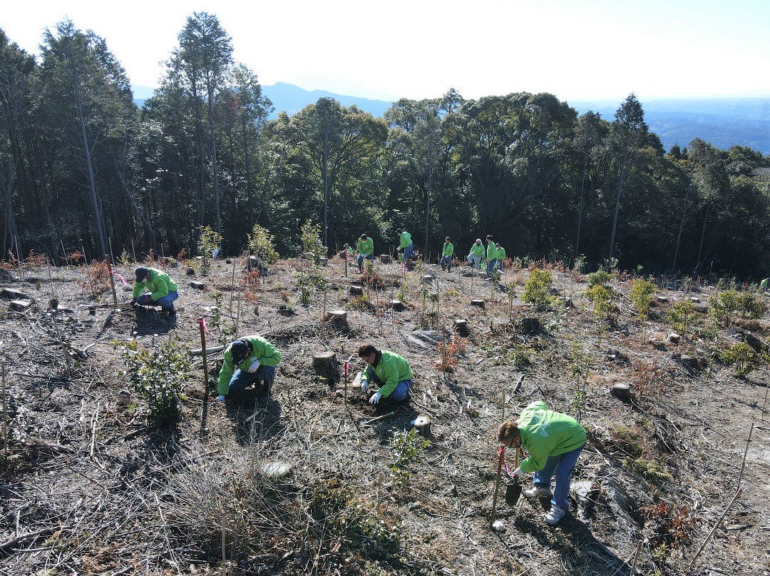 100周年記念事業~植林事業(鹿児島市)~|米盛グループ