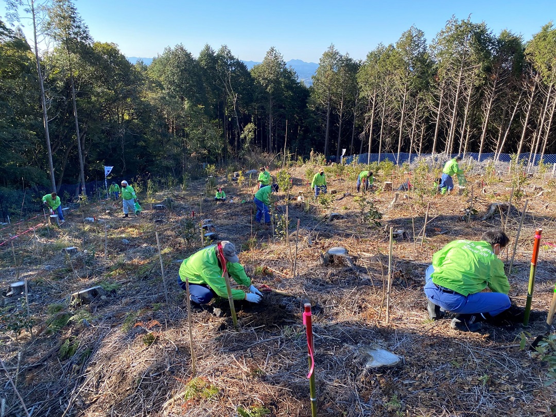 100周年記念事業~植林事業(鹿児島市)~|米盛グループ